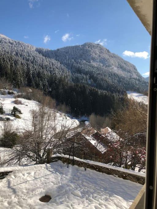Magnifique Maison Renovee, 10Pers Rencurel Bagian luar foto